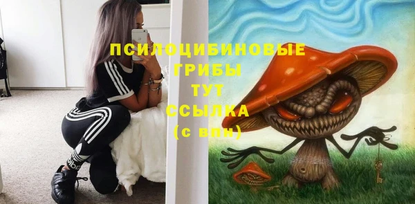 хмурый Богданович