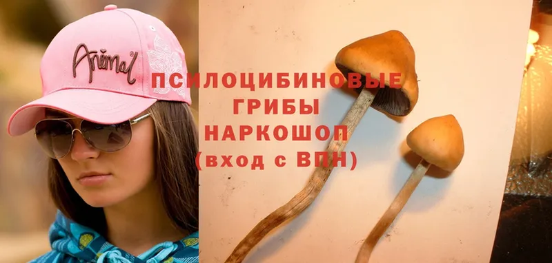 Галлюциногенные грибы Magic Shrooms  что такое наркотик  Полтавская 